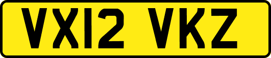 VX12VKZ