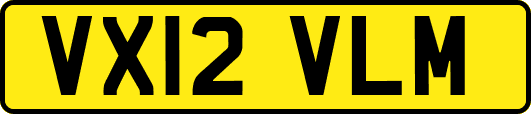 VX12VLM