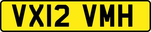 VX12VMH