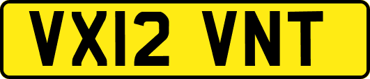 VX12VNT