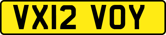 VX12VOY