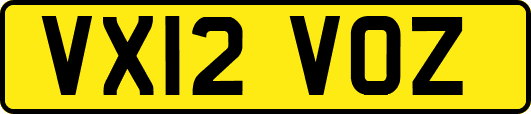 VX12VOZ