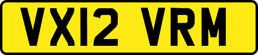 VX12VRM