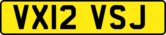 VX12VSJ