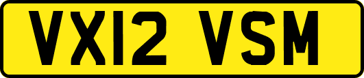 VX12VSM