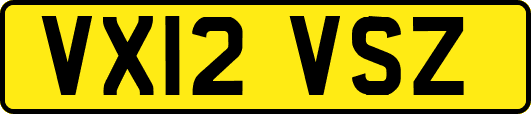 VX12VSZ
