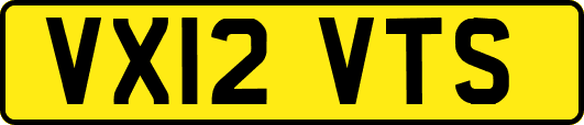 VX12VTS