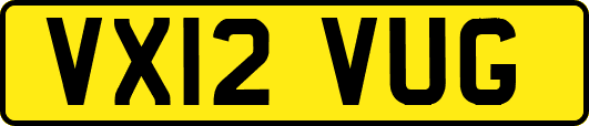 VX12VUG