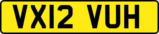 VX12VUH