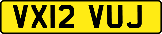 VX12VUJ