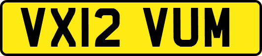 VX12VUM