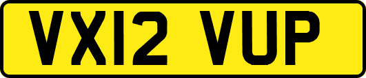 VX12VUP
