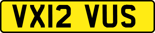 VX12VUS