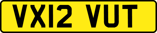 VX12VUT