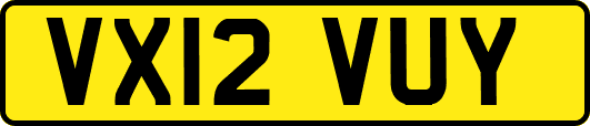 VX12VUY