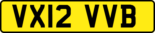 VX12VVB