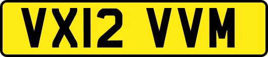 VX12VVM