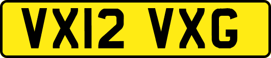 VX12VXG