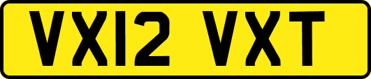 VX12VXT