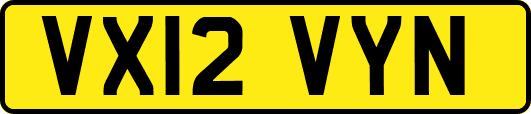 VX12VYN