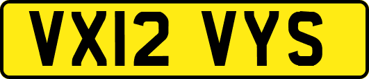 VX12VYS