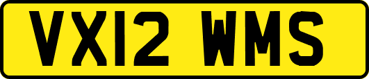 VX12WMS