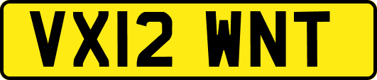 VX12WNT