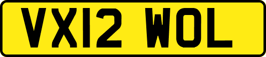 VX12WOL