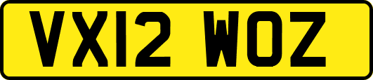 VX12WOZ