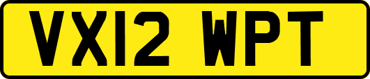 VX12WPT