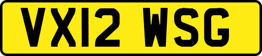 VX12WSG