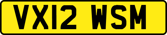 VX12WSM
