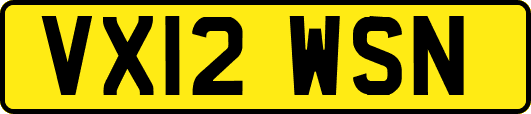 VX12WSN