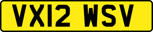 VX12WSV