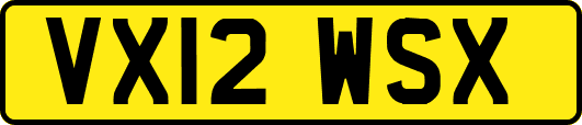 VX12WSX