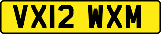 VX12WXM