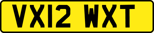 VX12WXT