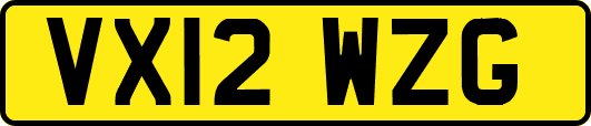 VX12WZG