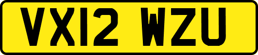 VX12WZU