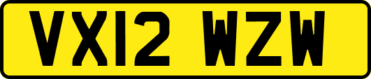 VX12WZW