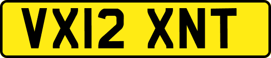 VX12XNT