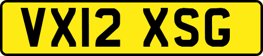 VX12XSG
