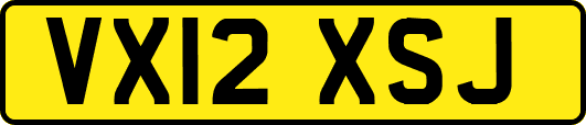 VX12XSJ