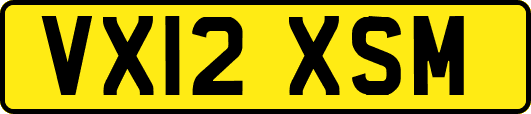 VX12XSM