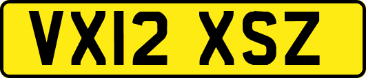 VX12XSZ