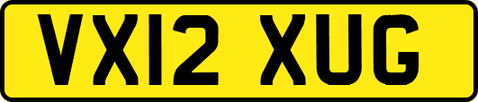 VX12XUG