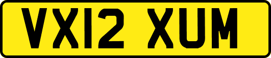 VX12XUM