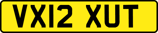 VX12XUT