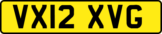 VX12XVG