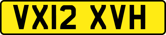 VX12XVH